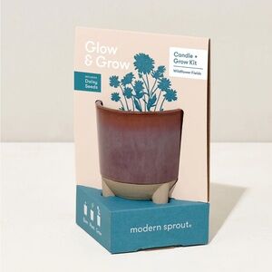 Modern sprout candle grow kit daisy wildflowers